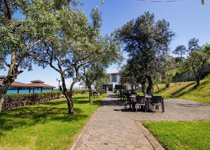 Pasha Resort منتجع باشا